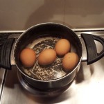 3.	Boil the eggs